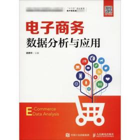 电子数据分析与应用 大中专文科经管 邵贵主编 新华正版