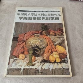 学院派基础色彩范画-中国美术学院本科生留校作品