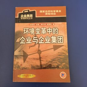 环境变革中的企业与企业集团(企业集团管理研究丛书)