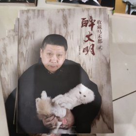 醉文明：收藏马未都贰