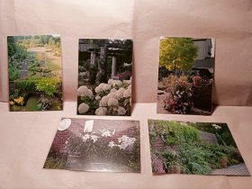 English Garden 英国园艺 5片明信片，日本明信片5片，post card，BARAKURA，Photo 照片拍照摄影by Kei Yamada