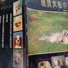 玩赏犬在中国:投资与经营