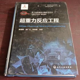 化工过程强化关键技术丛书--超重力反应工程