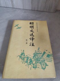 明文選譯注