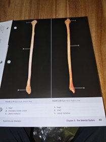 a photographic atlas for anatomy&physiology（解剖学和生理学的摄影图集）