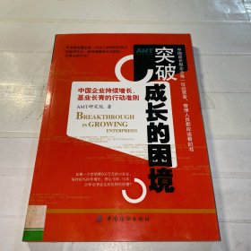 突破成长的困境：再造成长型企业持续增长（一版一印）