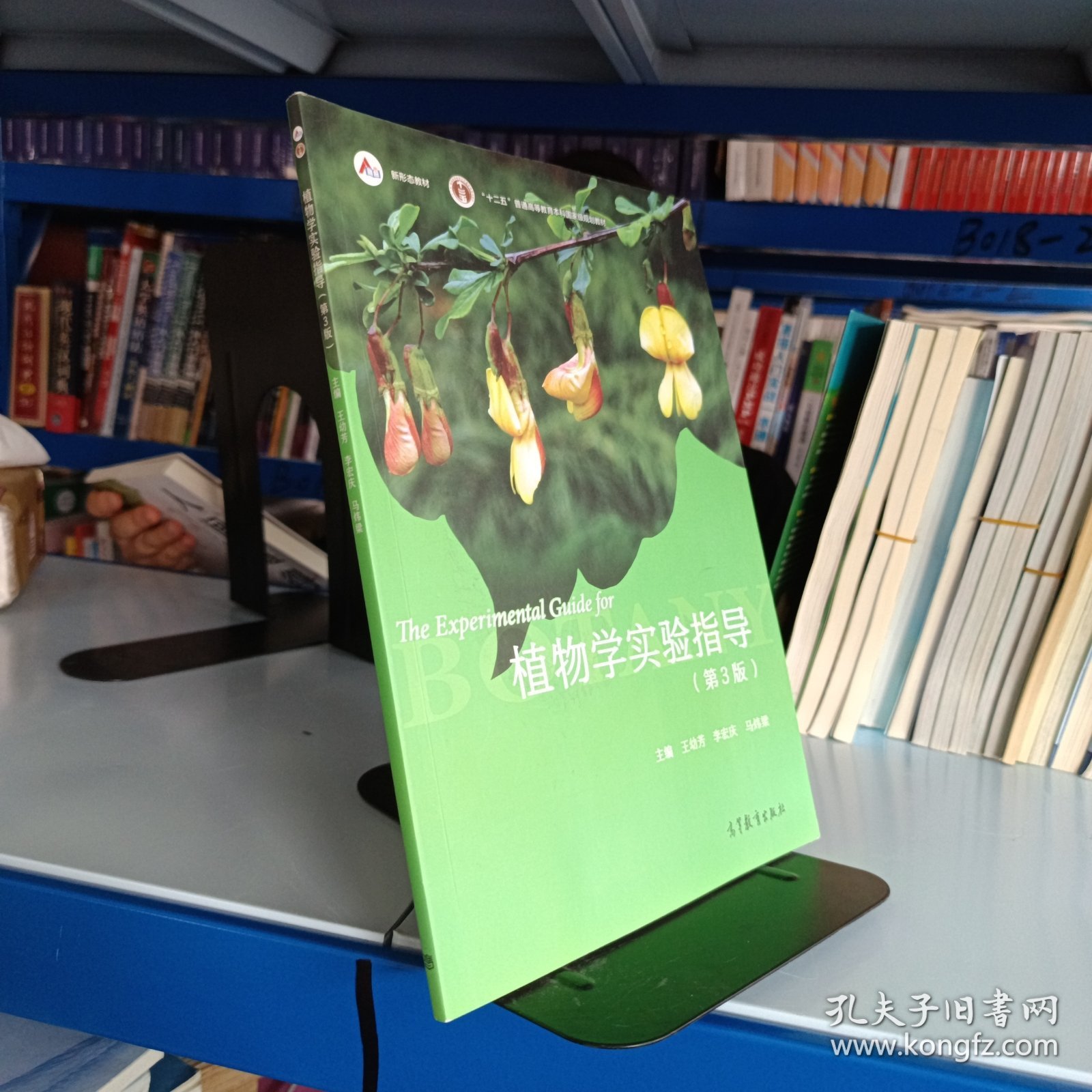 植物学实验指导（ 第3版 ）
