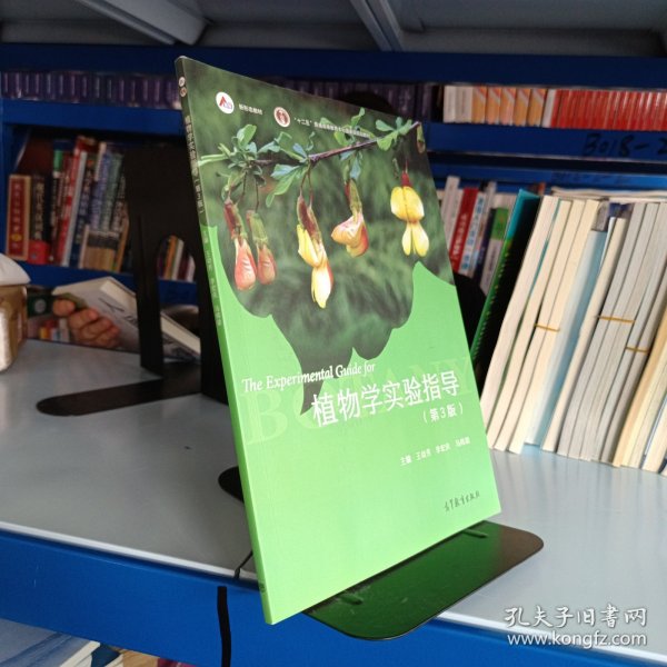 植物学实验指导（ 第3版 ）