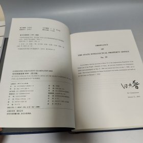 GUIDELINES FOR PATENT EXAMINATION （专利审查指南2010：英）【内页干净无书写】
