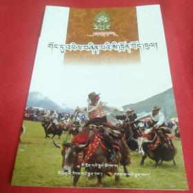 发展中的四川藏区 : 藏文！