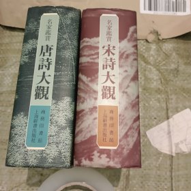 宋诗大观+唐诗大观（名家鉴赏）