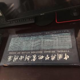 中國(guó)典型地震剖面圖集