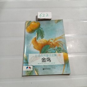 彩色世界童话全集 14金鸟