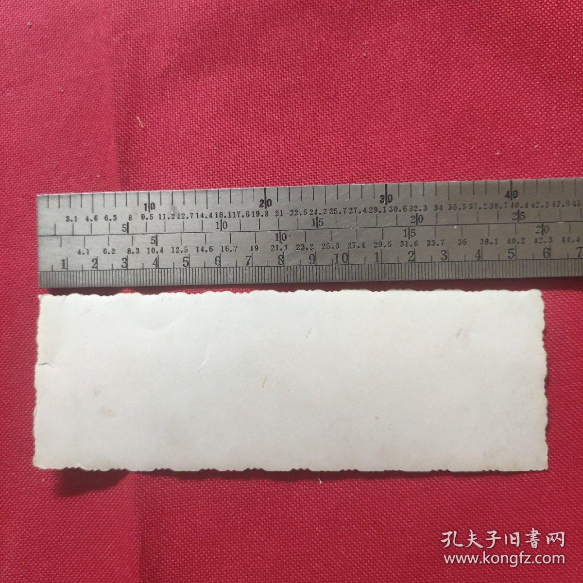 辽宁省安东干部文化学校 中三班全体同学合影  1958.8.25