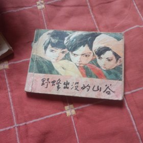 野蜂出没的山谷 连环画
