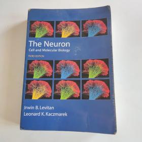 The Neuron: Cell and Molecular Biology