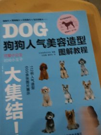 狗狗人气美容造型图解教程