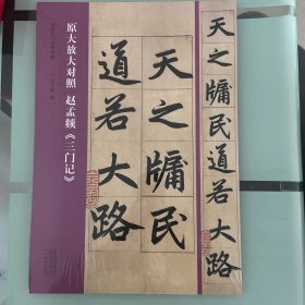 书法入门必学碑帖 原大放大对照 赵孟頫《三门记》