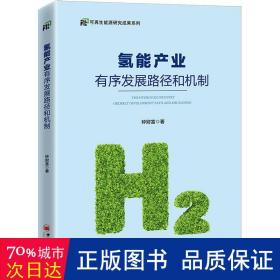 氢能产业有序发展路径和机制