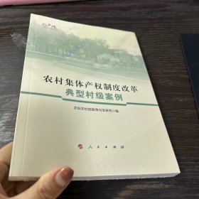 农村集体产权制度改革典型村级案例