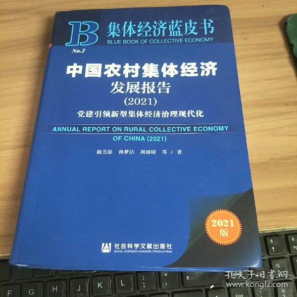 集体经济蓝皮书：中国农村集体经济发展报告（2021）