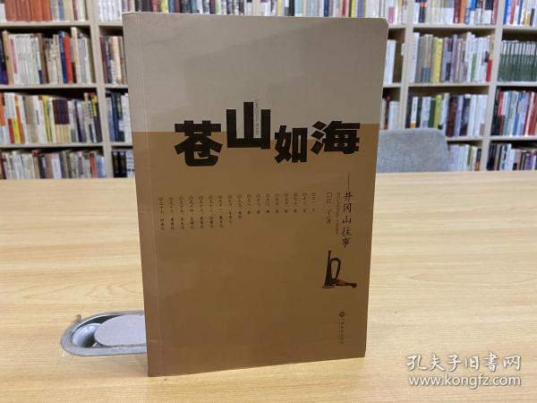 苍山如海——井冈山往事