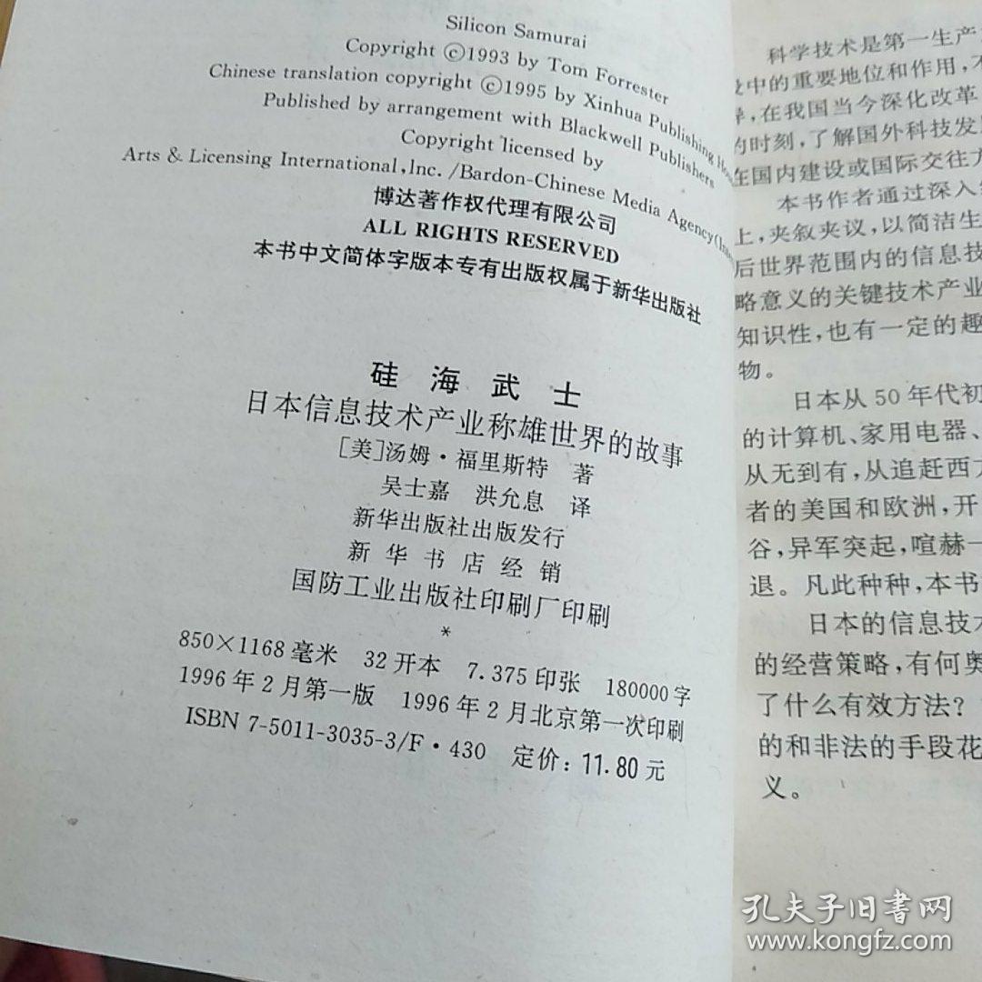 硅海武士:日本信息技术产业称雄世界的故事
