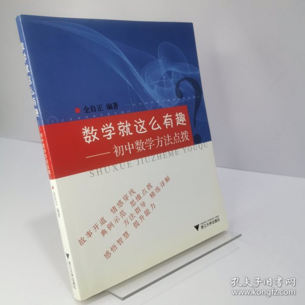 数学就这么有趣：初中数学方法点拨