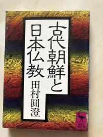 古代朝鮮と日本仏教 (講談社学術文庫 (669))