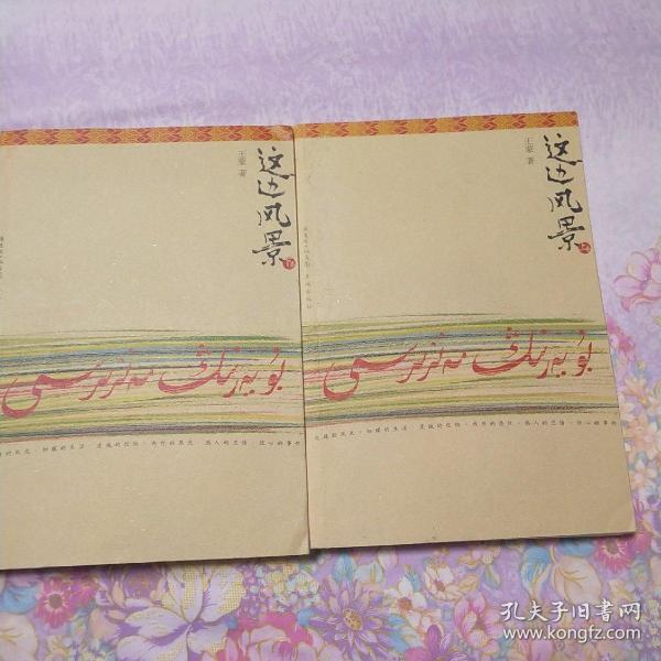 这边风景（上下）