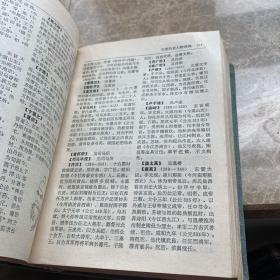 中国历史人物辞典