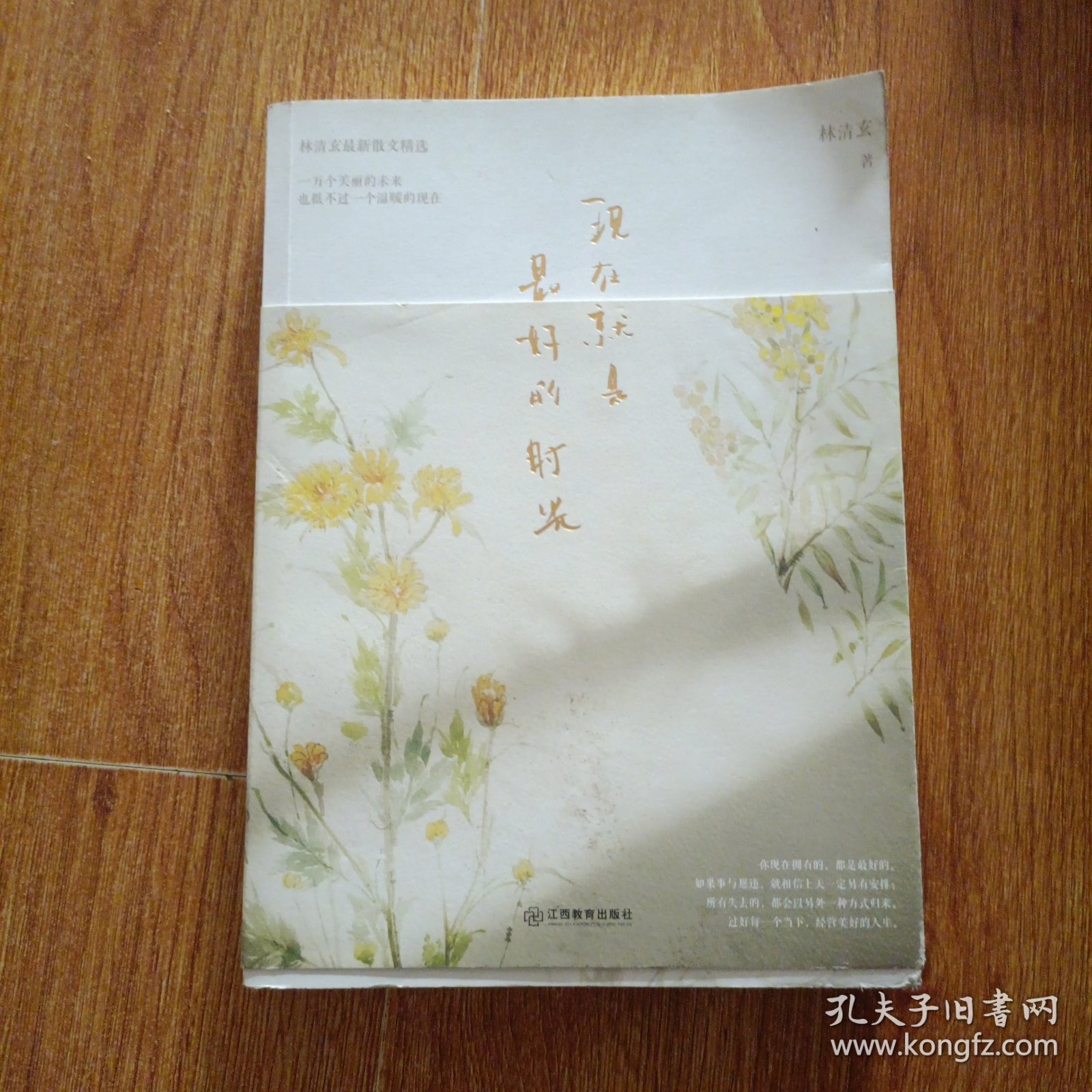 现在就是最好的时光