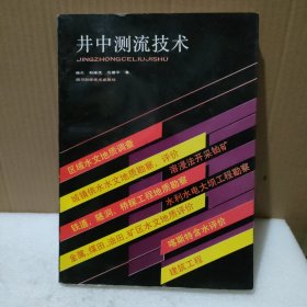 井中测流技术【品如图，有自然黄斑】