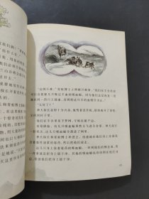 森林谜案