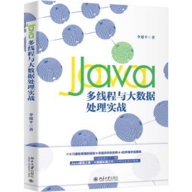 Java多线程与大数据处理实战