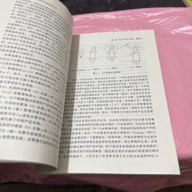 新兴古典经济学与超边际分析