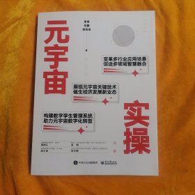 元宇宙实操----经典案例（作者签赠本）