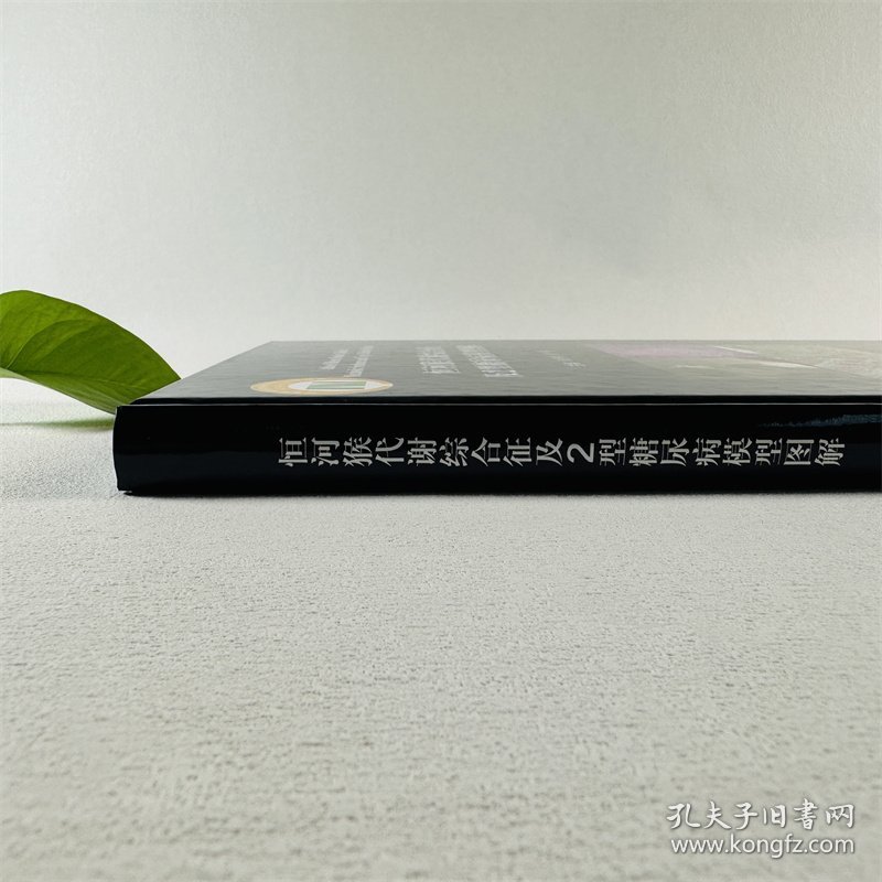 恒河猴代谢综合征及2型糖尿病模型图解