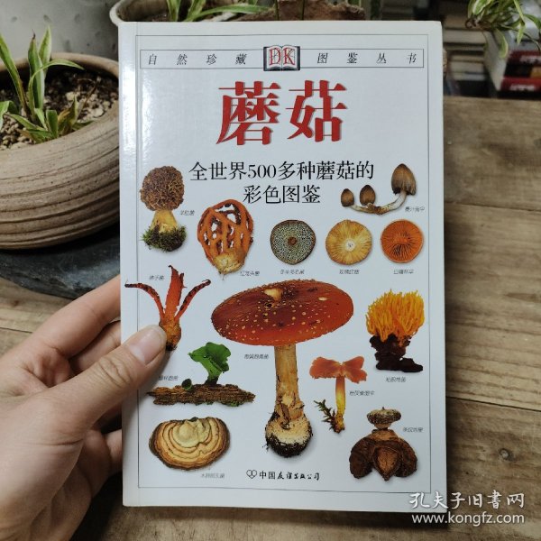 蘑菇：全世界500多种蘑菇的彩色图鉴