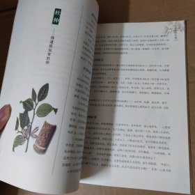 名老中医话说中药养生 16开