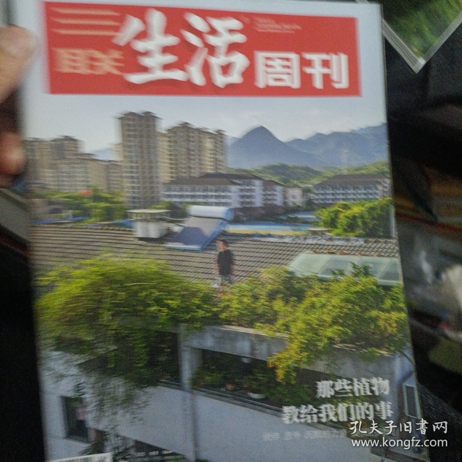 三联生活周刊1307