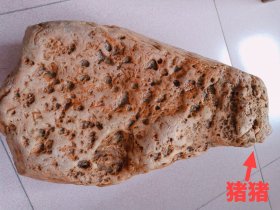 摆件-观赏石、象形石（犊子，猪猪，像谁？）、图案石、图片经过滤光处理。