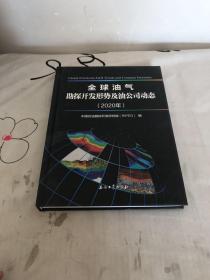 全球油气勘探开发形势及油公司动态(2020年)