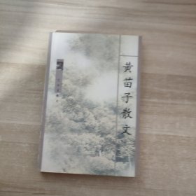 黄苗子散文