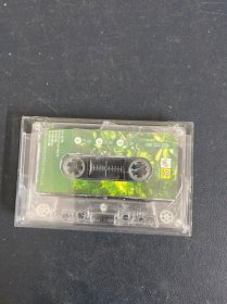 磁带：赵永华 我的爱 我的梦 我的家 无封面 无词 盒破损 以实拍图购买