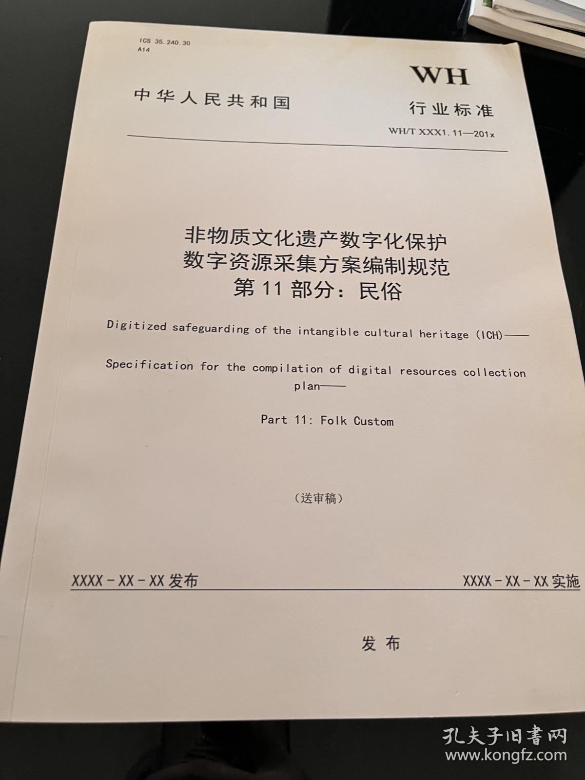 非物质文化遗产数字化保护数字资源采集方案编制规范第11部分:民俗