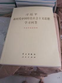 习近平新时代中国特色社会主义思想学习问答大字版