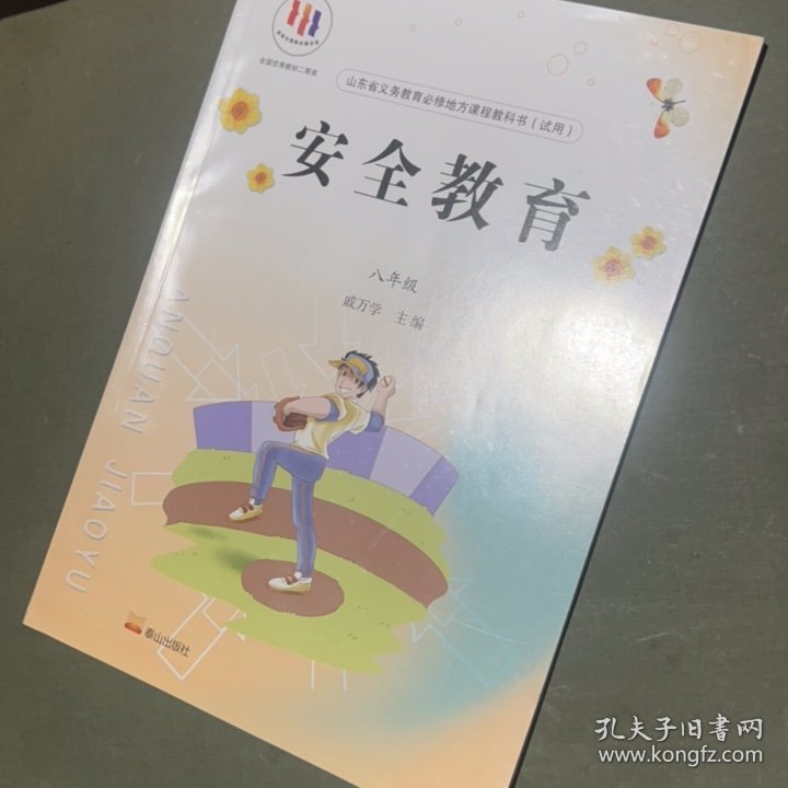 安全教育，八年级
