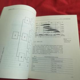 过程模式(上册)