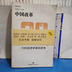 中国改革30年：10位经济学家的思考